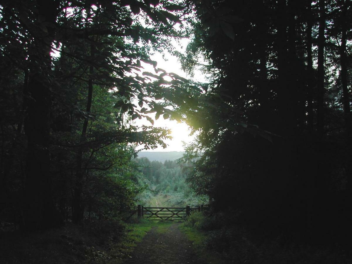 Silhouette Cottage Coleford  Esterno foto